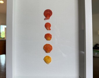 Red to Yellow Minimalist shell art - framed. 8x10 inches