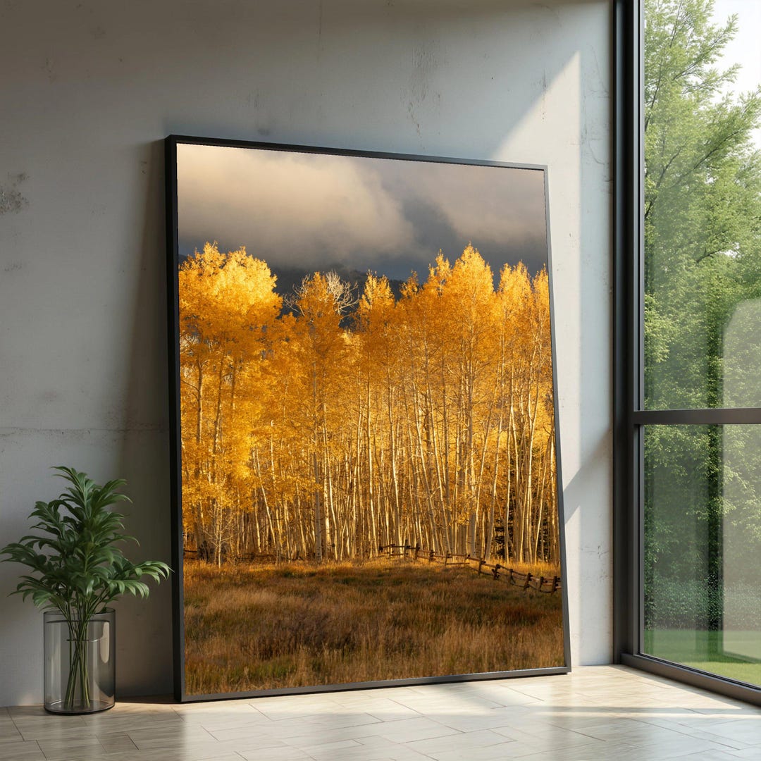 Golden Aspen Forest Canvas Wall Art, Autumn Landscape Canvas, Fall ...