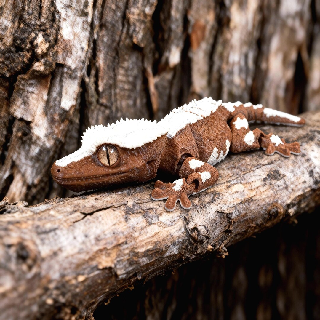 3d-printed Crested Gecko - 7.7 Inches | Reptile Decor | Gift for ...