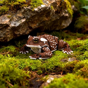 3D-Printed American Toad Frog | Articulated Frog Figurine | Desk or Shelf Decor