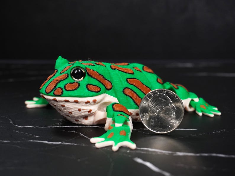 Curated visual reference: Fresh Look at 3D Printed Pacman Frog 4 Inches