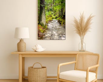 Woodland Forest Wall Art, Mossy Tree Creek Photo Print, Green Nature Landscape Decor for Lodge or Office