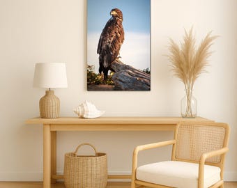 Stampa artistica di una giovane aquila calva, fotografia naturalistica, regalo per gli amanti degli uccelli