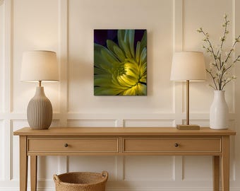 Nature Photography Print, Yellow Flower Print  for Above Bed Art  |P41