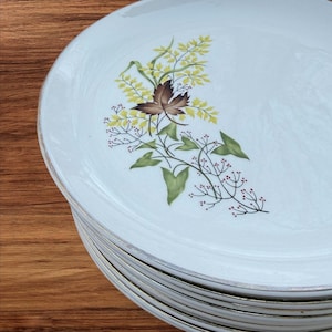 Könnte beinhalten: Ein Stapel hellblauer Keramikteller mit floralem Design. Die Teller haben einen Goldrand und ein gemaltes Design aus gelben, braunen und grünen Blättern und Beeren. Die Teller sind auf einer Holzoberfläche gestapelt.
