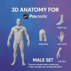 May include: A digital illustration for Procreate featuring a 3D male anatomy set. The image includes a full male figure, a male body, a right leg, a left hand, and a left arm. Text on the image reads "3D Anatomy for Procreate" and "Male Set."