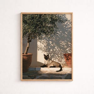 Op de afbeelding: Een ingelijste kunstdruk met een Siamees die rust op een stenen ondergrond in de schaduw van een olijfboom. De scène bevat een terracotta pot, een witte muur met ingewikkelde bladuitsneden en een tweede terracotta pot aan de rechterkant.