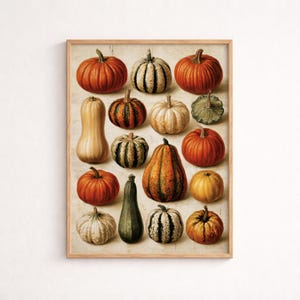 Può includere: Una stampa artistica da parete rettangolare che presenta una collezione di varie zucche in tonalità arancione, verde, giallo e crema. La disposizione include forme rotonde, costolate e allungate su uno sfondo neutro e strutturato.