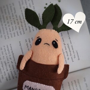 May include: A felt mandrake plush toy measuring 17 cm in height. The figure has a light peach-colored body with dark green leaves on top, black embroidered eyes, and a sad mouth. It sits in a brown felt pot labeled with the text MANDRAKE.