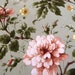 Ralph Lauren Twin Single DUVET Cover  Yorkshire Rose Floral  image 0