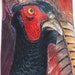 1988 Turkeys Necktie by Ralph Marlin  Novelty Tie  image 0