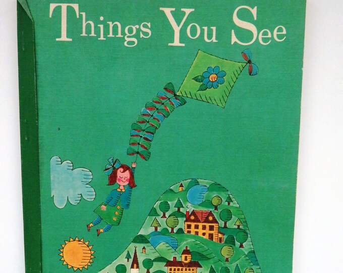 1965 Preprimer 3 Things You See Home School Book Easy Reading