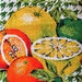 1970s Parisian Prints Linen Tea Dish Kitchen Towel  Citrus image 0