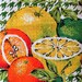 1970s Parisian Prints Linen Tea Dish Kitchen Towel  Citrus image 0