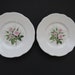 Two Buffalo China Bread and Butter Plates  Pink Roses  1960s image 0