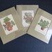 One Vintage Matted Plant Print by Dandeleau  Botanical image 0