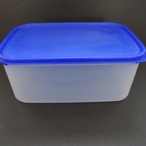 May include: A rectangular food storage container with a blue lid. The container is made of translucent plastic and has a slightly tapered design. The lid fits snugly on top, creating a secure seal.