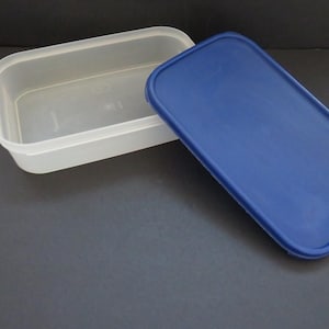 May include: A clear plastic rectangular container with a blue lid. The container is empty.