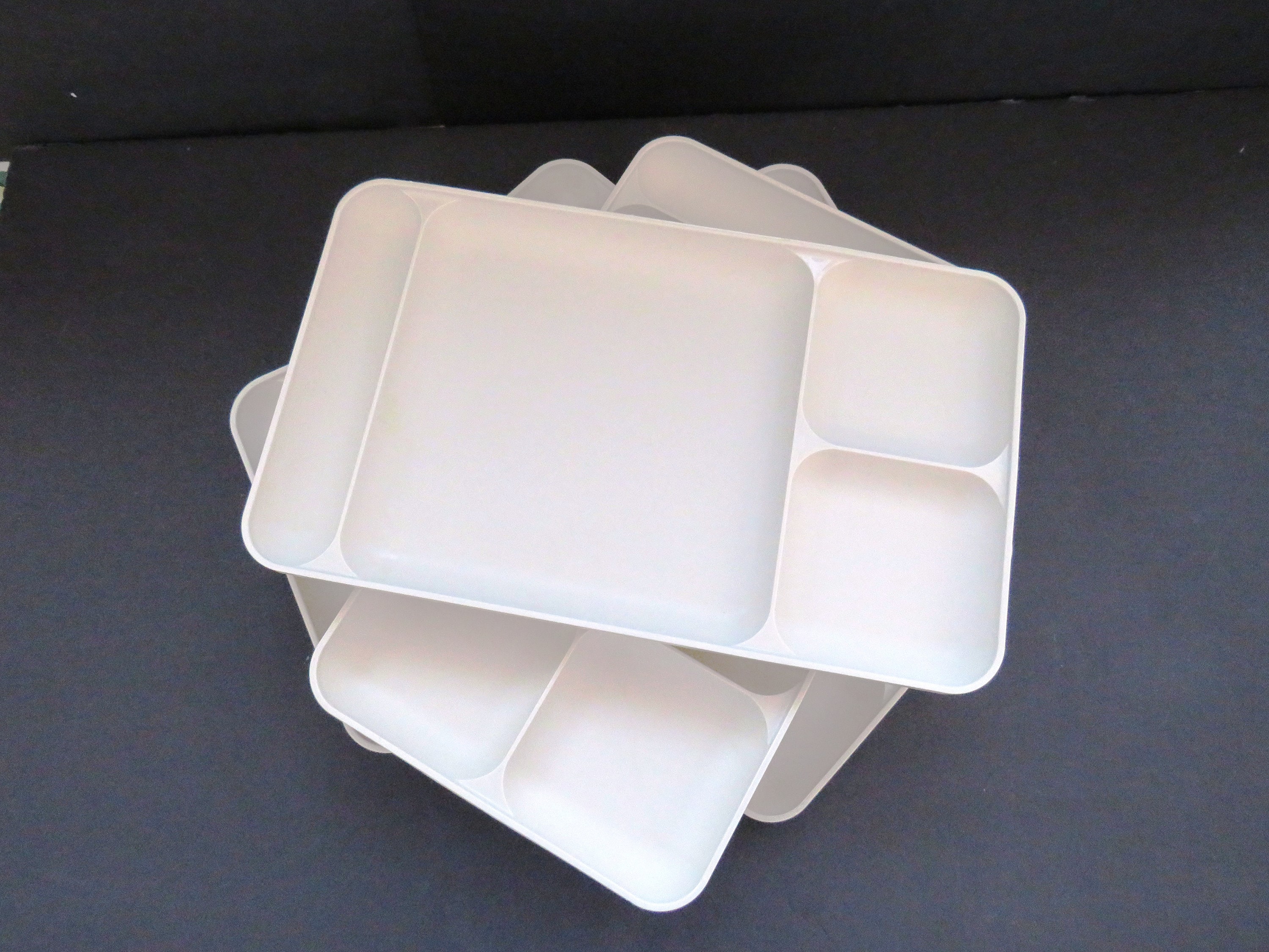 TUPPERWARE Large Divided Sectioned Plate Price in India - Buy