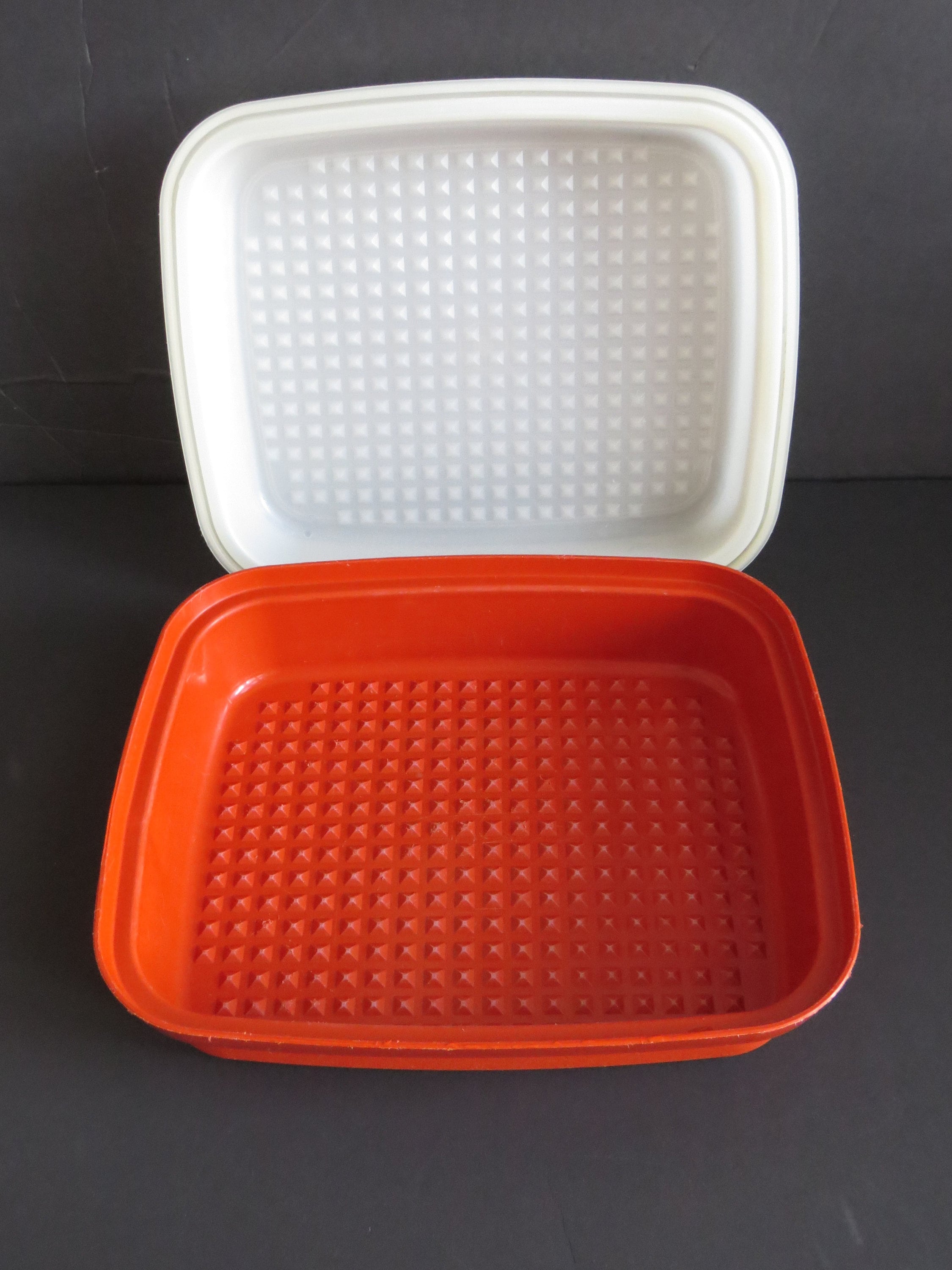Vintage Tupperware Small Meat Marinade Dish in Paprika Red With Opaque Lid  Season-serve-store Container Retro Kitchen 