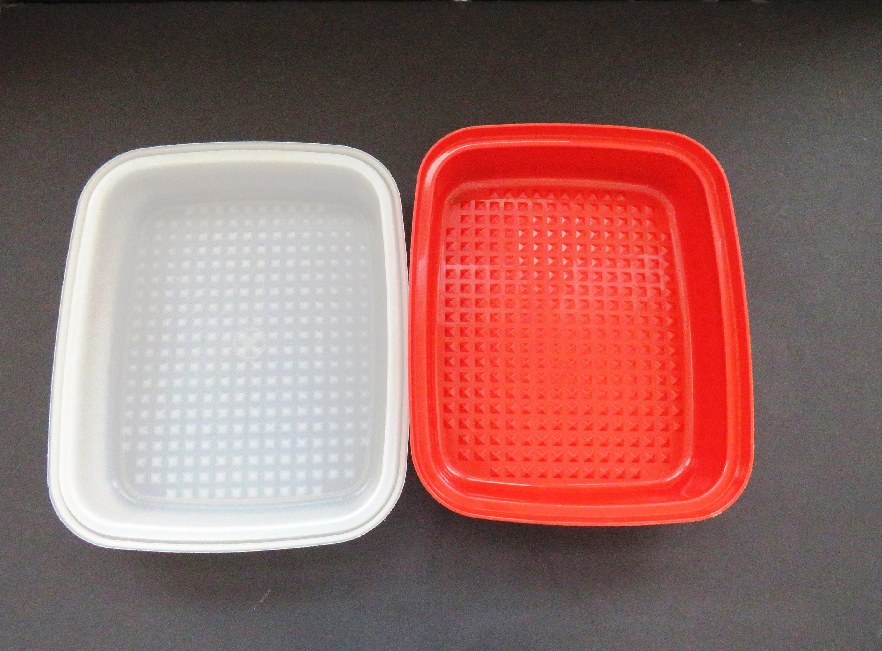 Vintage Tupperware Large Meat Marinade Container 2 Piece Paprika #1294-5  w/Lid