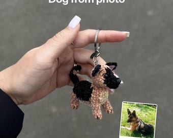 Llavero de perro personalizado con tu foto: Mini recuerdo personalizado para tu mascota