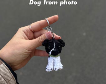 Llavero personalizado con retrato de perro • Recuerdo de mascota hecho a mano a crochet
