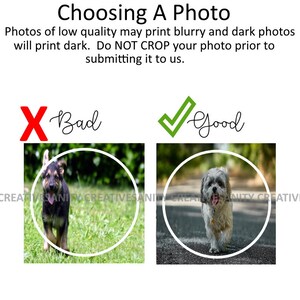 May include: Two images of dogs, one marked with a red X and the other with a green checkmark. The image marked with the X shows a dog in a blurry, out-of-focus photo. The image marked with the checkmark shows a dog in a clear, well-lit photo. The text "Bad" is next to the X and the text "Good" is next to the checkmark.