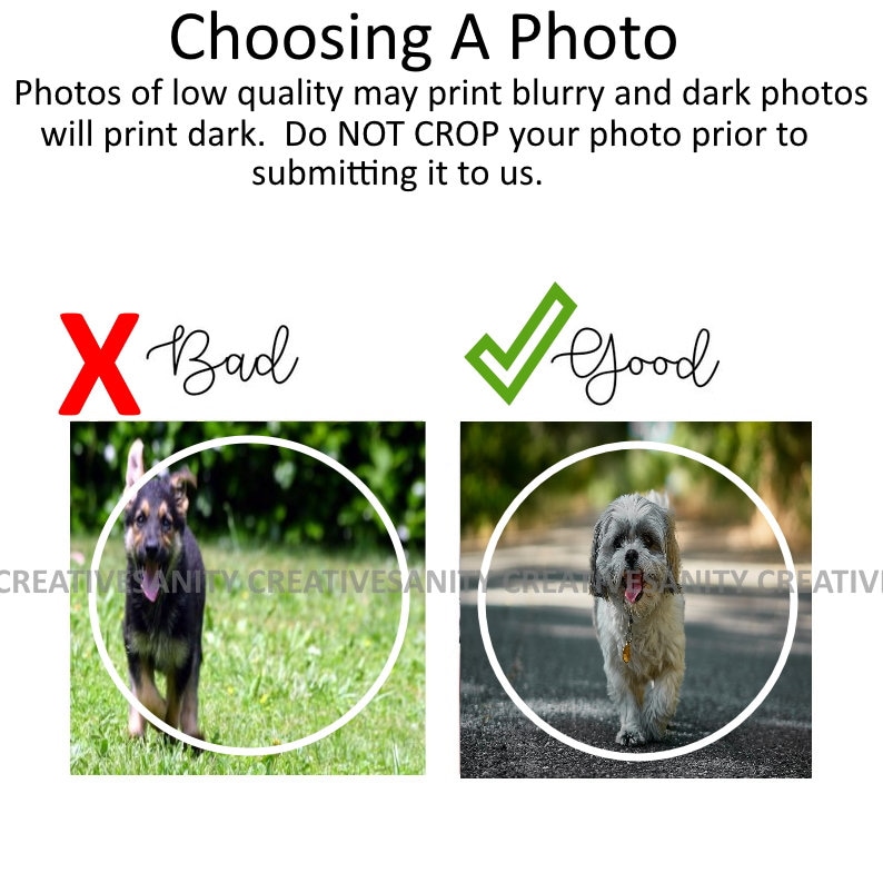 May include: Two images of dogs, one marked with a red X and the other with a green checkmark. The image marked with the X shows a dog in a blurry, out-of-focus photo. The image marked with the checkmark shows a dog in a clear, well-lit photo. The text "Bad" is next to the X and the text "Good" is next to the checkmark.