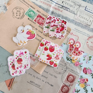 2pc Strawberry Goose | Funny Goose Resin Flatback Charms for Crafts | Planar Resin Pieces | Bow Centers, Badge Reels & Pendants