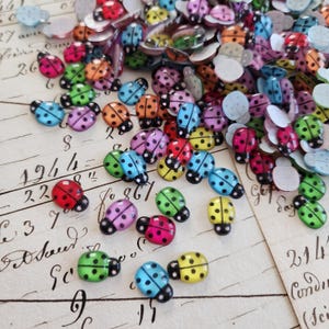 ミニミックスレジンてんとう虫フラットバックカボション10個セット – クラフト、ヘアアクセサリー用のフラットバック装飾