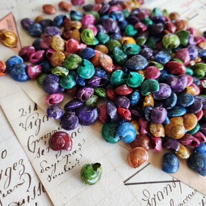 May include: A collection of small, colorful snail shells in shades of red, blue, green, purple, and yellow. The shells are scattered on top of aged paper with handwritten script. The shells vary in size and shape, creating a visually appealing display.
