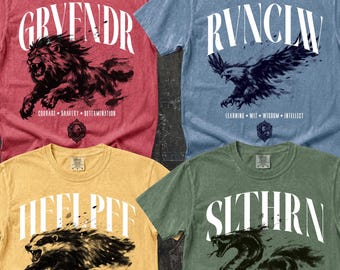 Wizard House Shirt, Fantasy House Aesthetic Shirt, Magic School Inspired Unisex T-Shirt, Universal Vacation shirt
