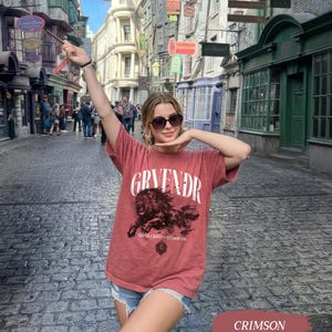 Wizard House Shirt, Fantasy House Aesthetic Shirt, Magic School Inspired Unisex T-Shirt, Universal Vacation shirt Crimson