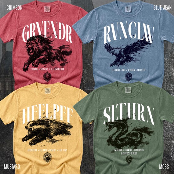 Wizard House Shirt, Fantasy House Aesthetic Shirt, Magic School Inspired Unisex T-Shirt, Universal Vacation shirt