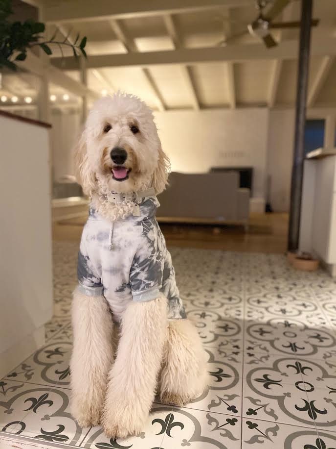 Custom Tie Dyed Pet Hoodies Made in USA and Woman Owned Etsy