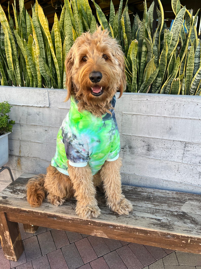 Custom Tie Dyed Pet Hoodies Made in USA and Woman Owned Company image 3