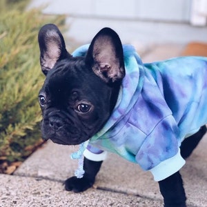 Custom Tie Dyed Pet Hoodies Made in USA and Woman Owned Company image 8