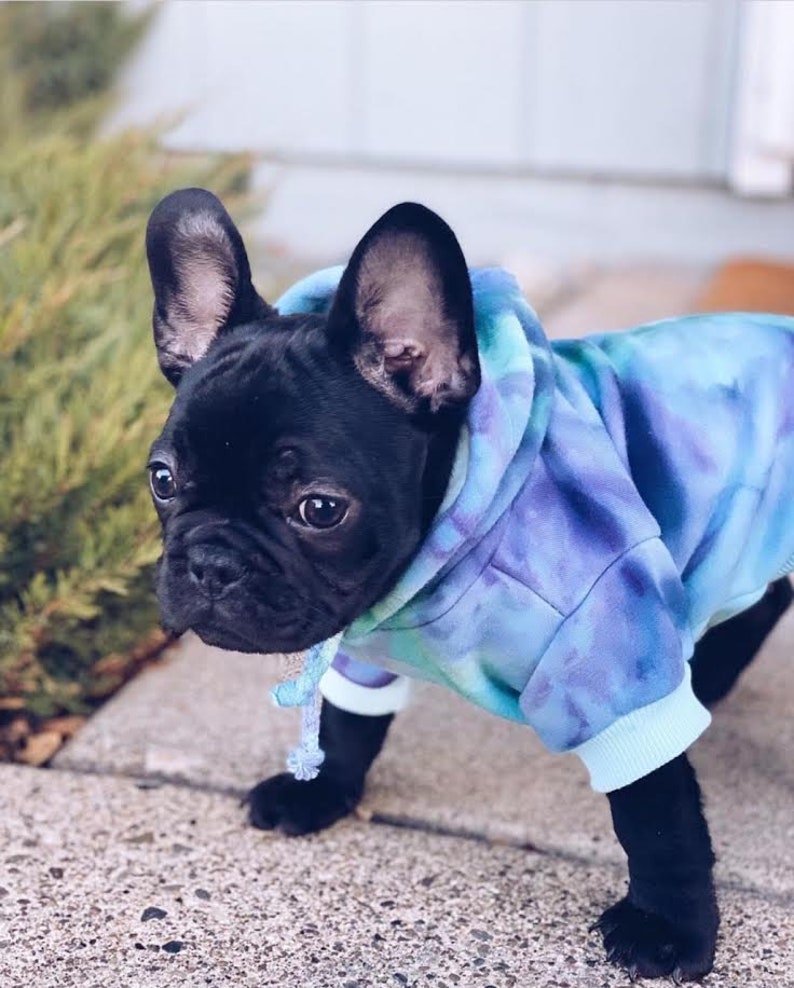 Custom Tie Dyed Pet Hoodies Made in USA and Woman Owned Etsy