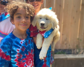 YOUTH Short Sleeve Tees Red White and Blue Tie Dye Custom Matching 4th of July Patriotic Camp Family Reunions.