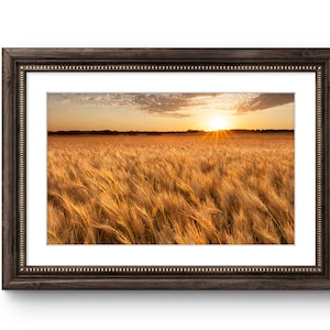 Wheat field sunset golden field North Dakota landscape photography print Sunset in the wheat field