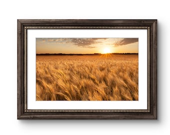 North Dakota Wheat Field Sunset Photography Print