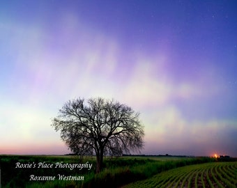 Aurora Borealis or Northern lights  North Dakota landscape photography