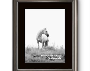 Wild Horse print Black and White//horse wall art//horse print