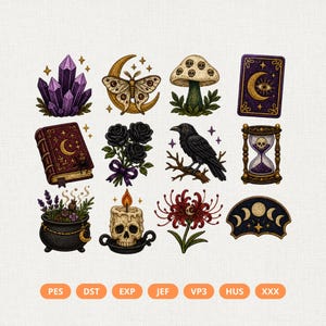 May include: A collection of twelve embroidered patches featuring purple crystals, a moth on a crescent moon, a skull mushroom, a tarot card, a spellbook, black roses, a raven, an hourglass, a cauldron, a skull candle, a red flower, and moon phases.