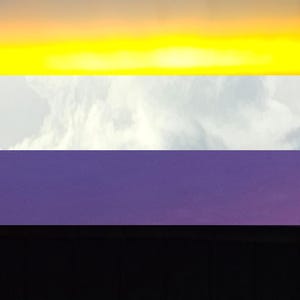 Könnte beinhalten: Nonbinäre Pride-Flagge mit horizontalen Streifen in Gelb, Weiß, Lila und Schwarz. Der gelbe Streifen befindet sich oben, gefolgt von Weiß, Lila und Schwarz. Der weiße Streifen hat einen Hintergrund mit bewölktem Himmel.