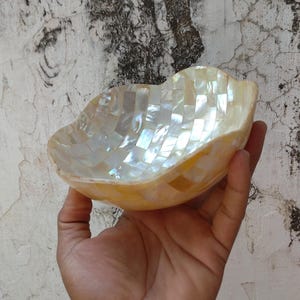 May include: A decorative, handcrafted bowl with a mosaic design. The bowl is made of iridescent, rectangular pieces, creating a shimmering effect. The bowl has a scalloped edge and a warm, yellow hue.