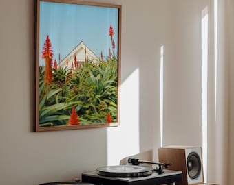 Wilder Ranch State Park | Playful Santa Cruz Photography | Coastal Wall Art for Office and Home