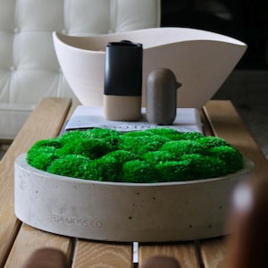 Op de afbeelding: Een moderne woonkamer met een lichte houten salontafel. Er staat een betonnen plantenbak met felgroen mos op. Een witte, gecapitonneerde fauteuil en een grote, crèmekleurige kom zijn ook zichtbaar. Decoratieve items zijn een zwart-beige vaas en een kleine houten vogel.