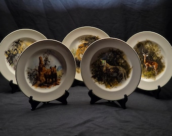 Wedgwood The World Wildlife Fund Sammlerteller - Set mit 5 Afrikanischen Tieren von David Shepherd